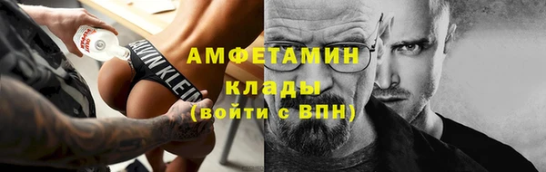 индика Балабаново